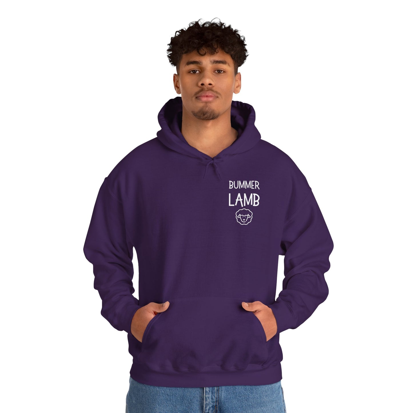Bummer Lamb, Hoodie