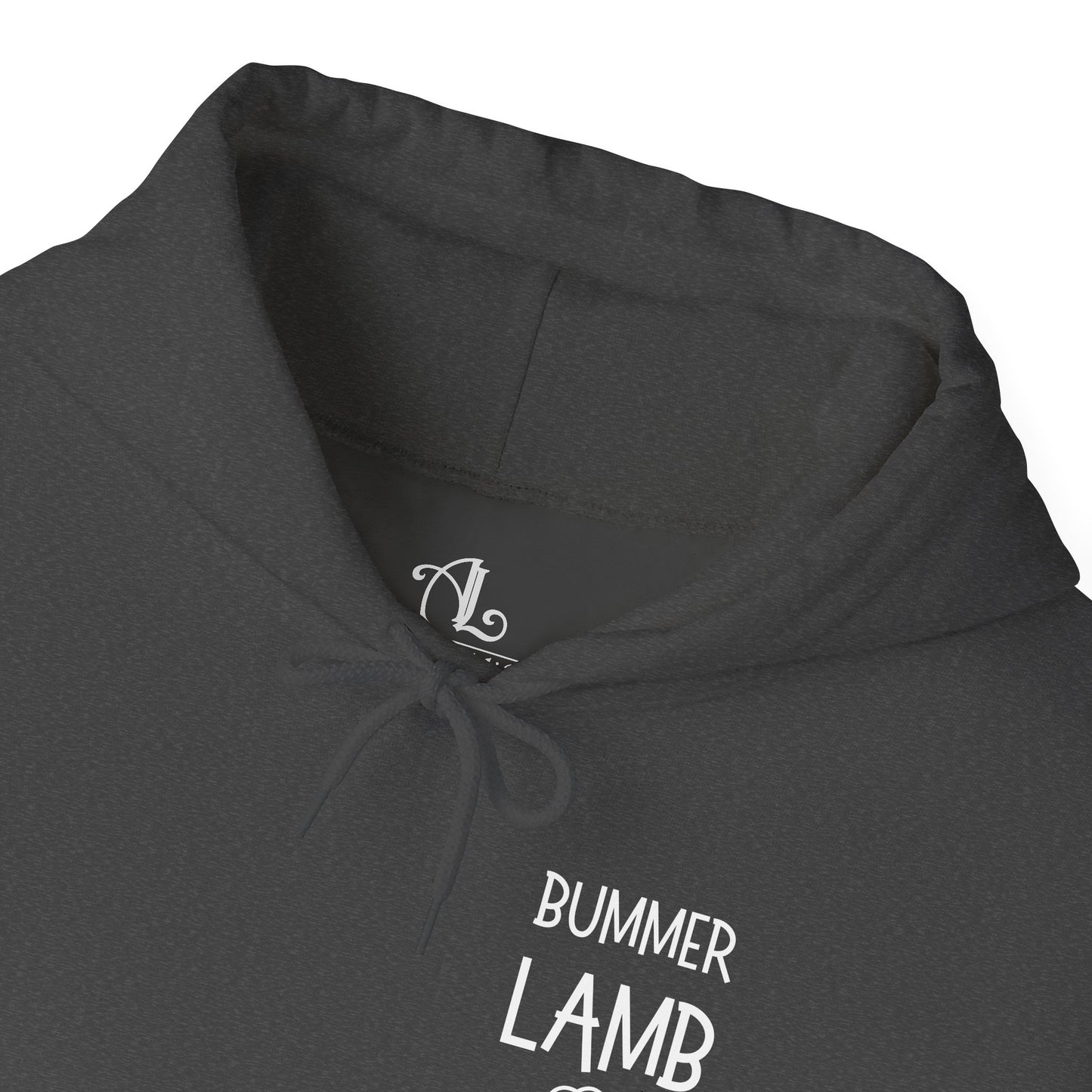 Bummer Lamb | Cozy Hoodie