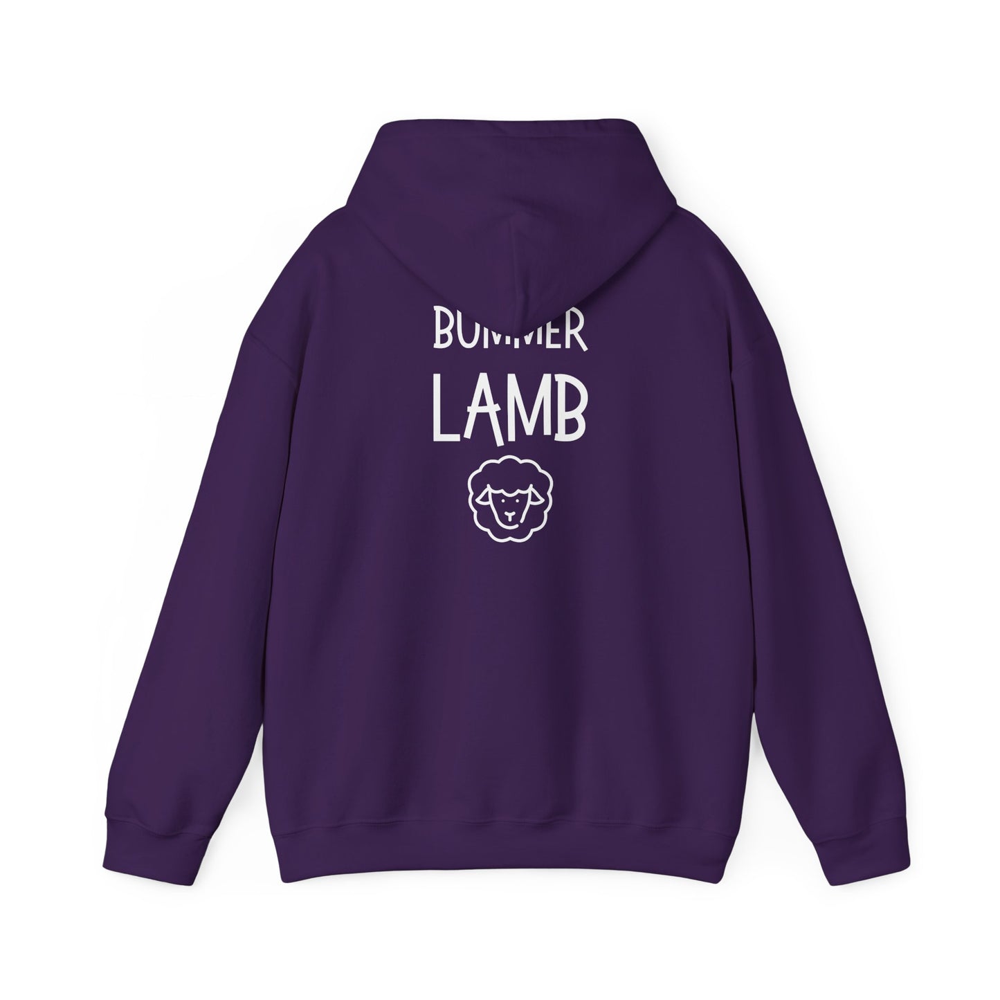 Bummer Lamb, Hoodie