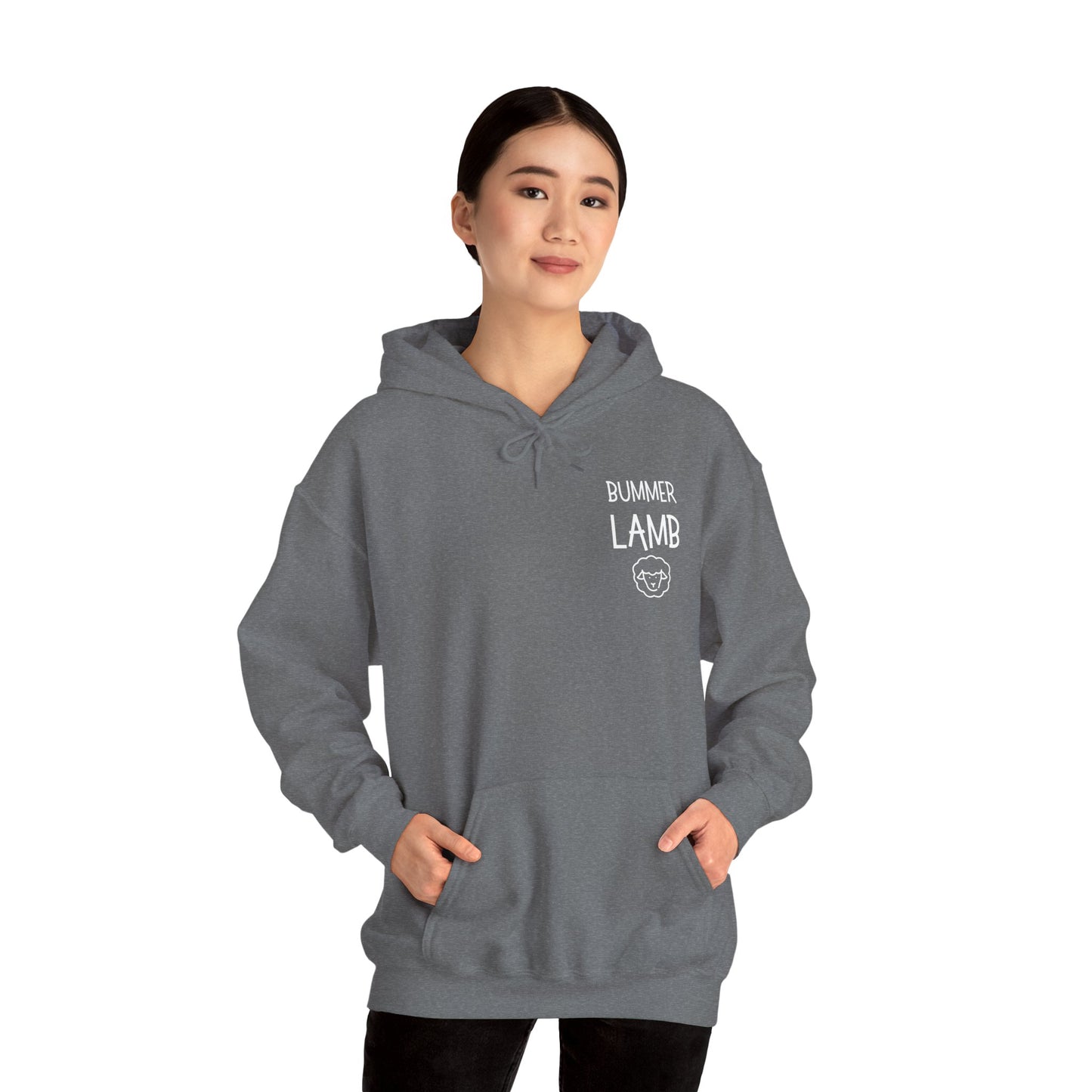 Bummer Lamb, Hoodie