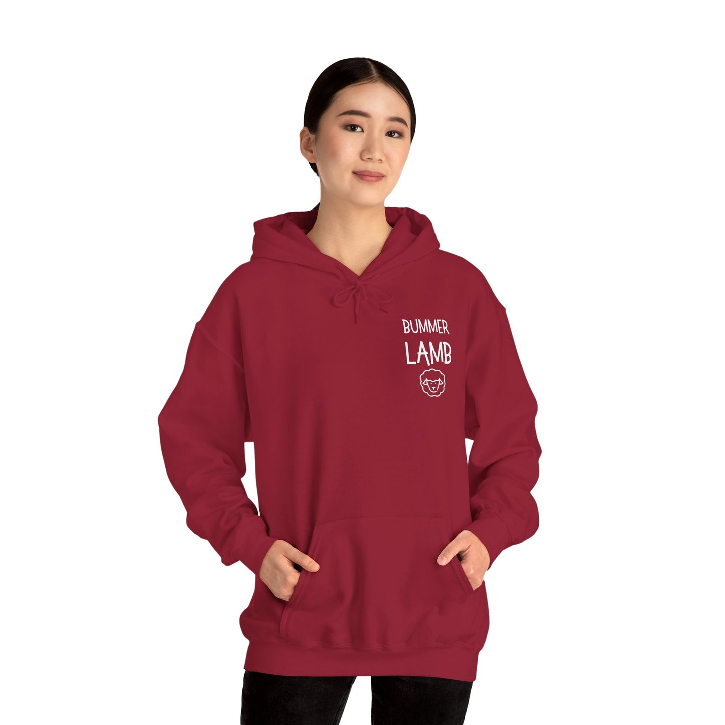 Bummer Lamb, Hoodie