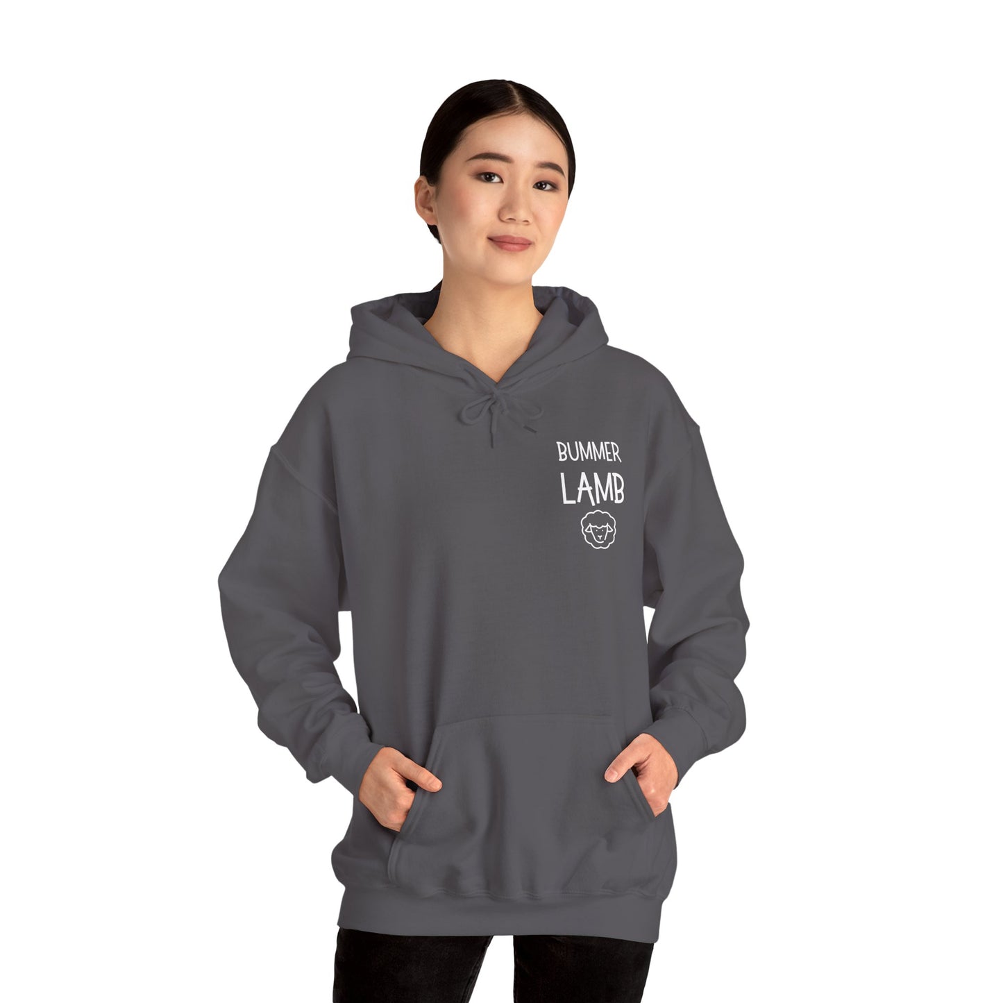Bummer Lamb, Hoodie