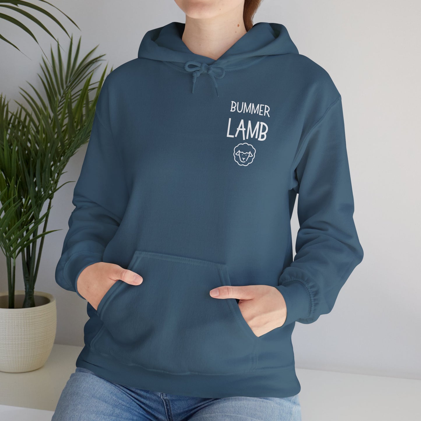 Bummer Lamb, Hoodie