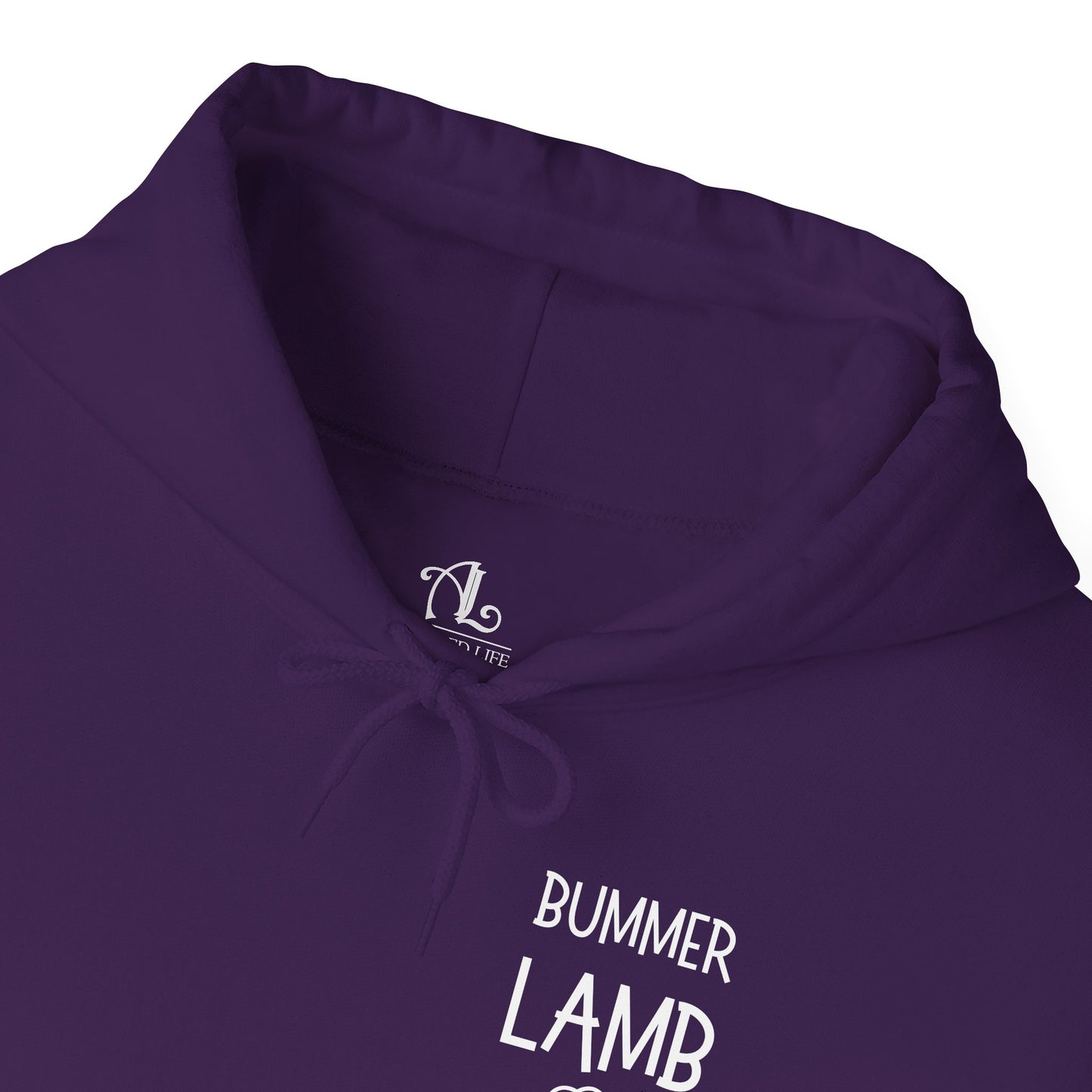 Bummer Lamb, Hoodie