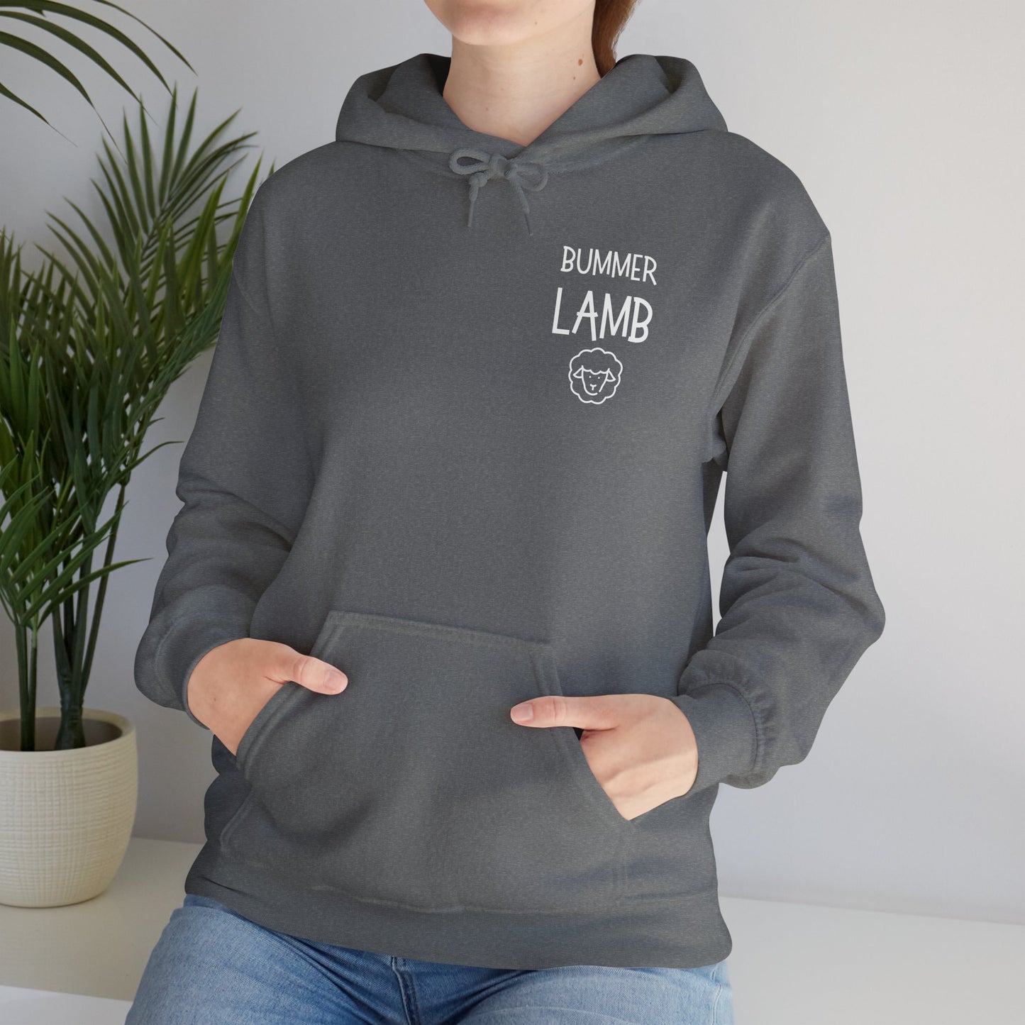 Bummer Lamb, Hoodie