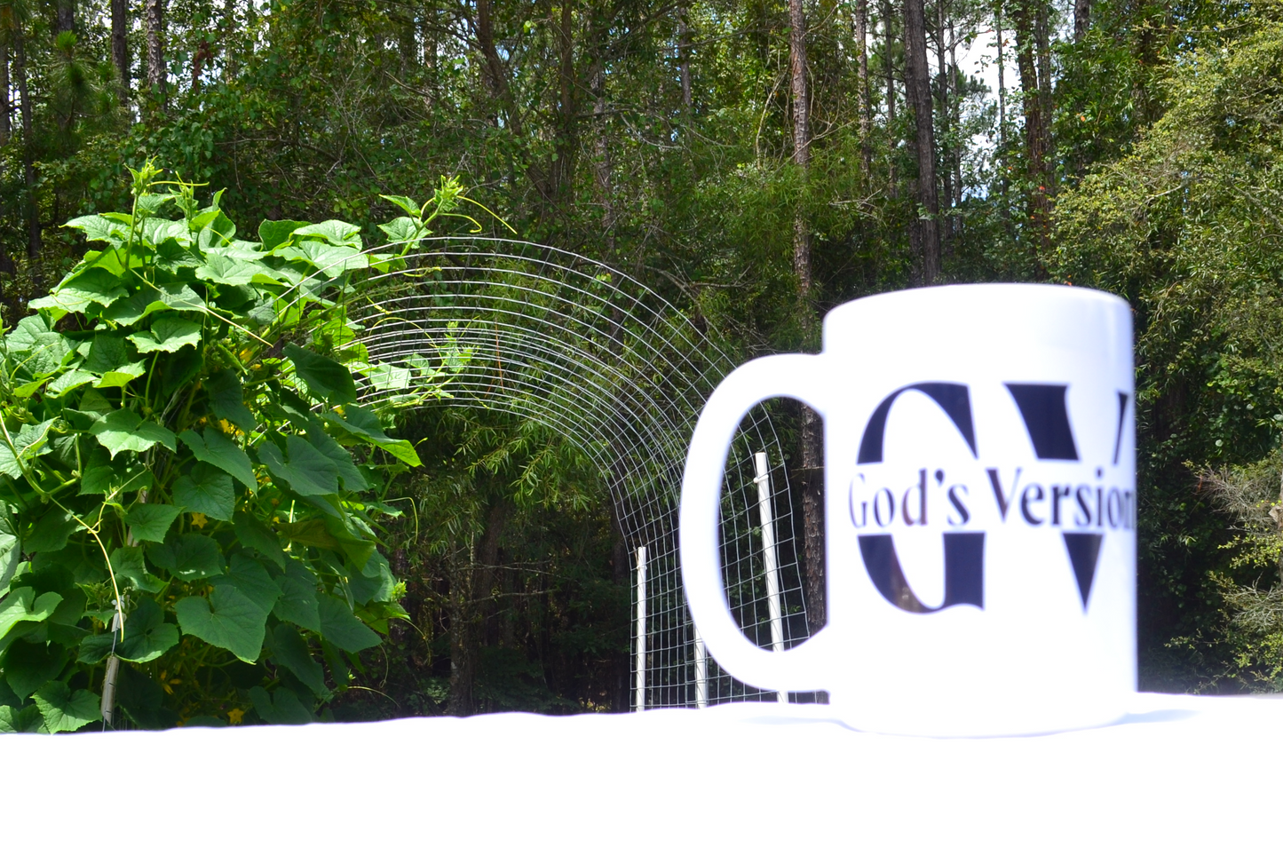 GV, God's Version Mug